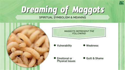 spiritual meaning of maggots|dreams about maggots in body.